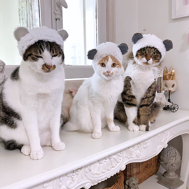 yuchiさんの実例写真