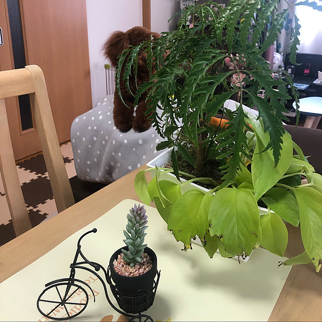 Ruyoさんの実例写真
