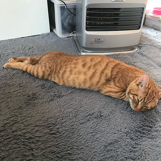 Maiさんの実例写真