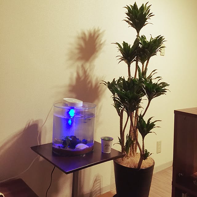 R2D2さんの実例写真