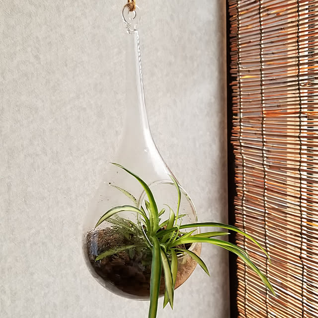 midoriさんの実例写真