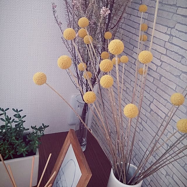Manamiさんの実例写真