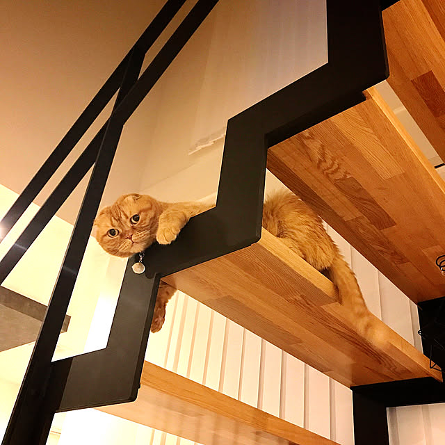 hm_myhomeさんの実例写真