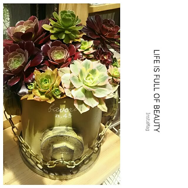 LittleMyさんの実例写真
