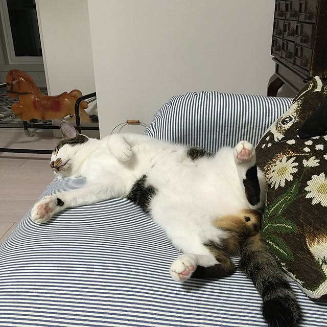yuchiさんの実例写真