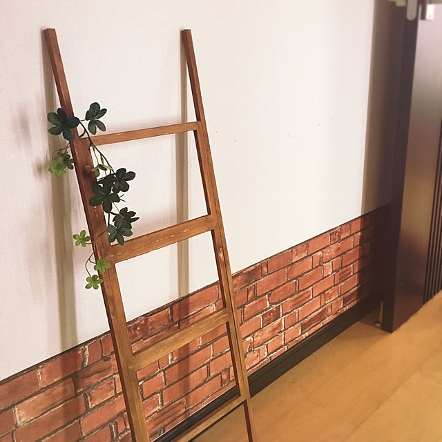 miagolaさんの実例写真