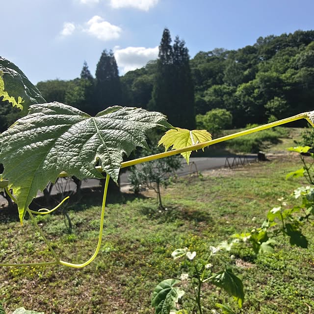 Rubiconさんの実例写真