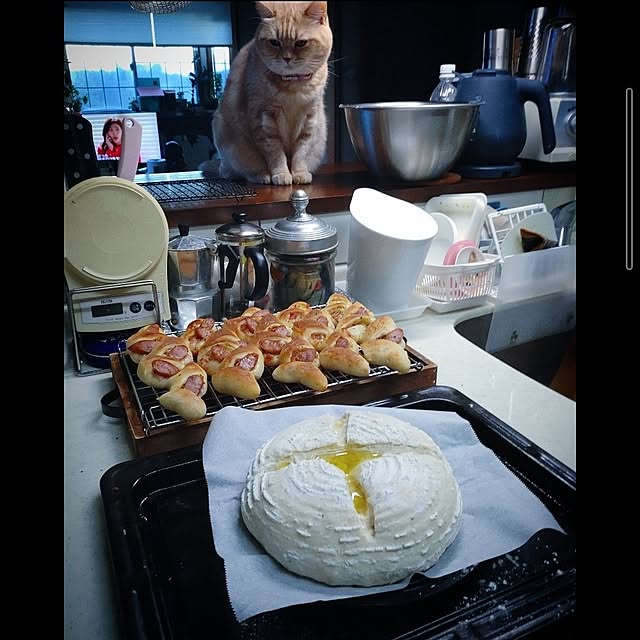 mntcさんの実例写真
