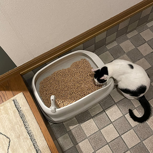 nobikoさんの部屋