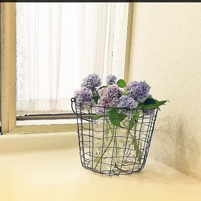 Renさんの部屋