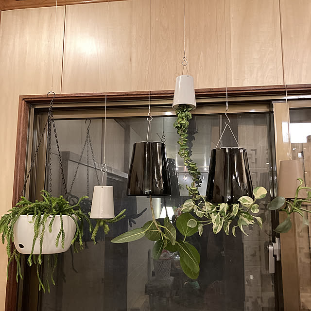 sakuraさんの実例写真