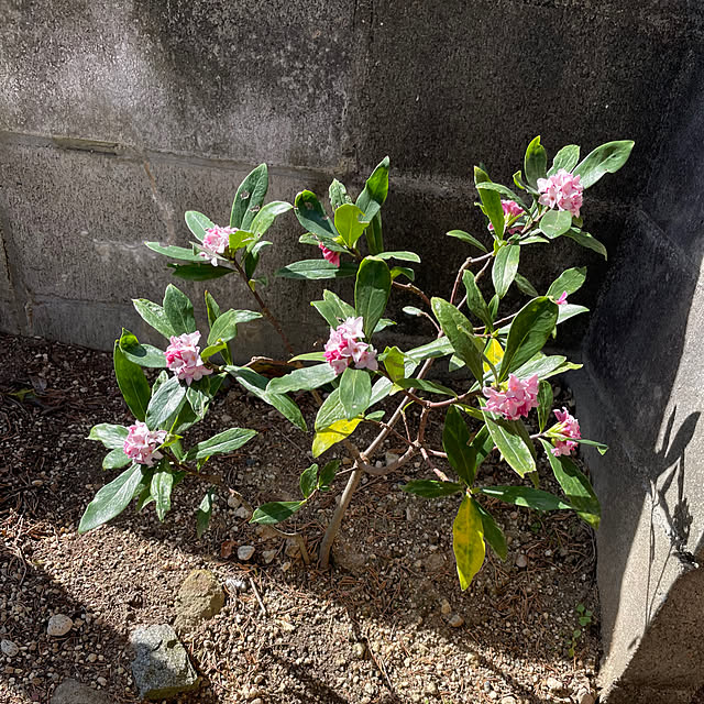 shin0719さんの部屋