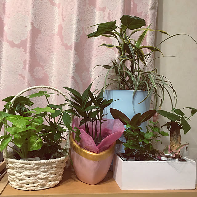 shigetanさんの実例写真