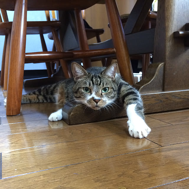 kirakirahoshiさんの実例写真