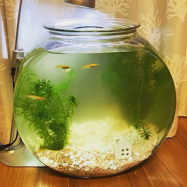 troさんの実例写真