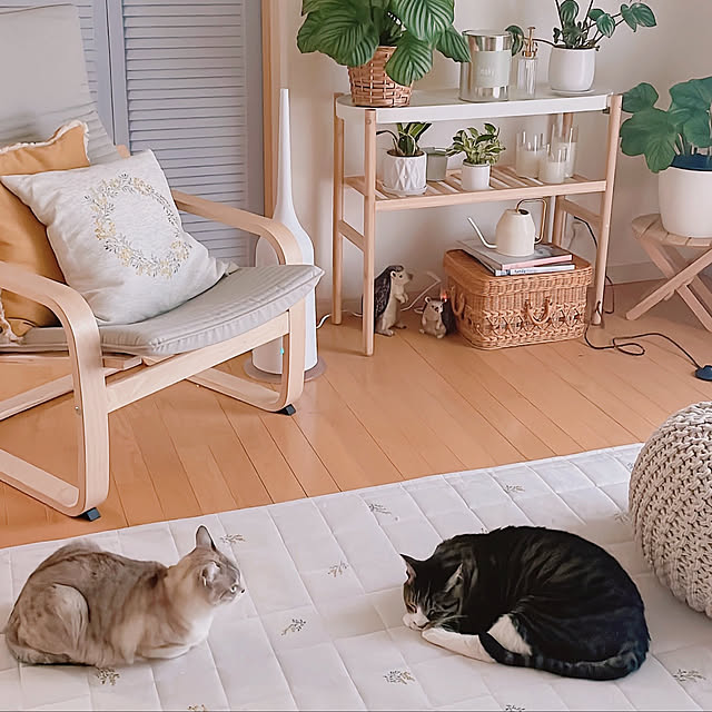 milkcocoaさんの実例写真