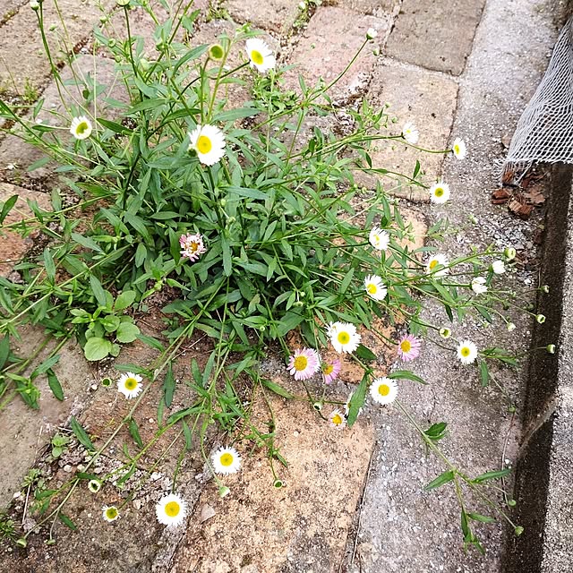 Bienvenueさんの部屋