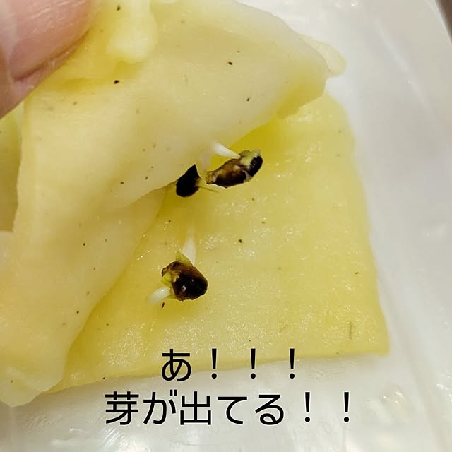 mi-saさんの部屋