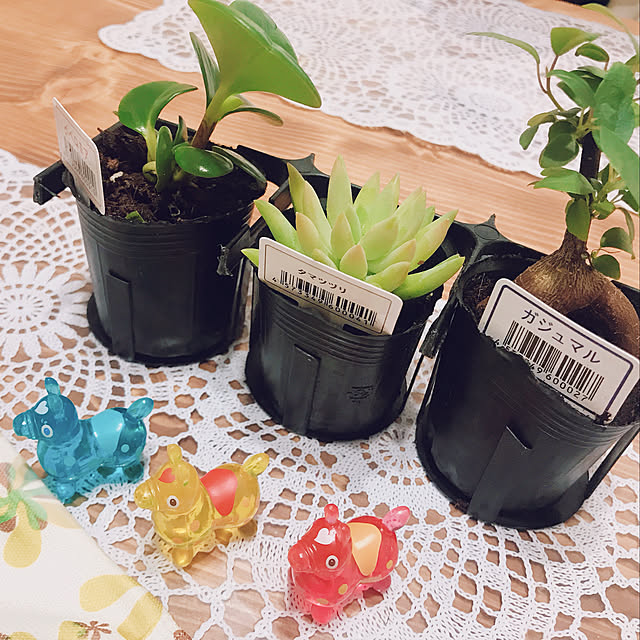 rizumu4649さんの実例写真