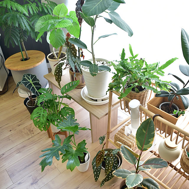 m__houseさんの実例写真
