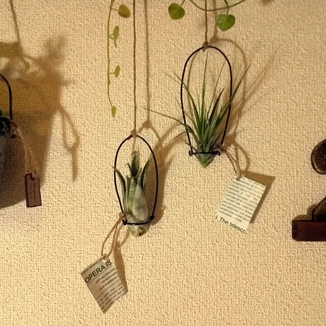 dezさんの実例写真