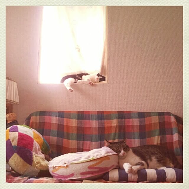 mjtsさんの実例写真