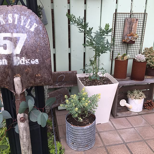 yukkaさんの実例写真