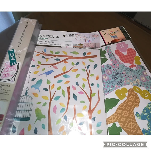 akanegumoさんの実例写真