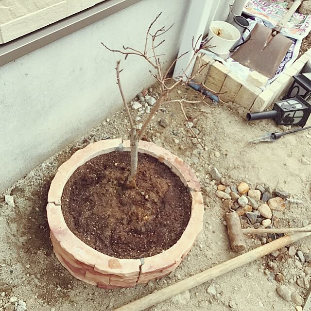 373さんの実例写真