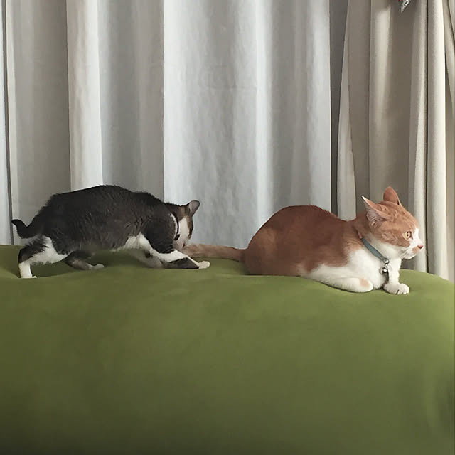 takeさんの実例写真