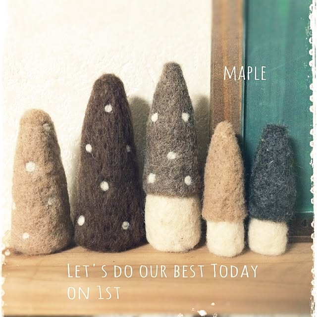 mapleさんの実例写真