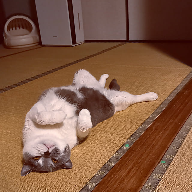 rhuさんの実例写真