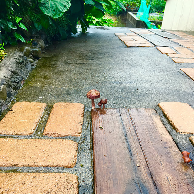 aiaiさんの実例写真