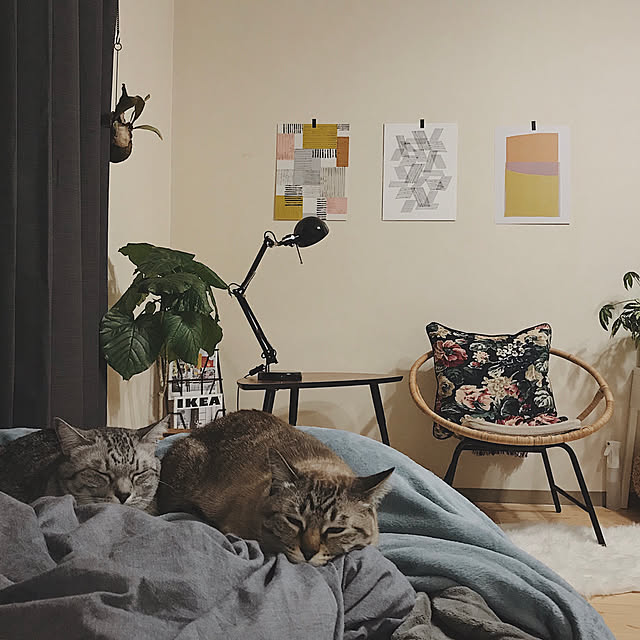 ineko_kさんの実例写真