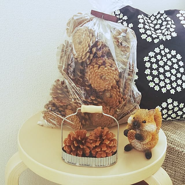 chicoさんの実例写真