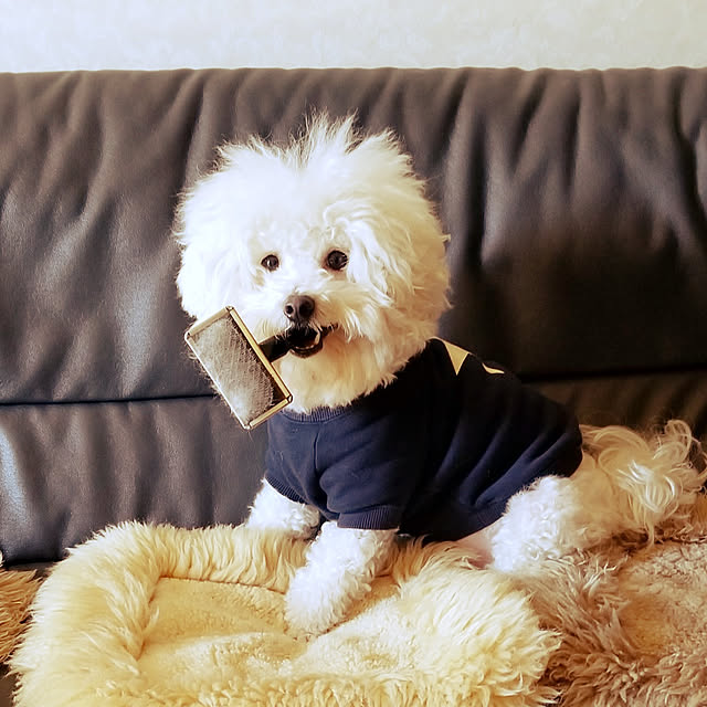 takoさんの実例写真