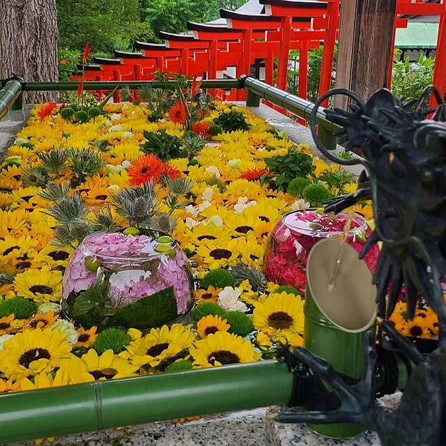 monnさんの部屋