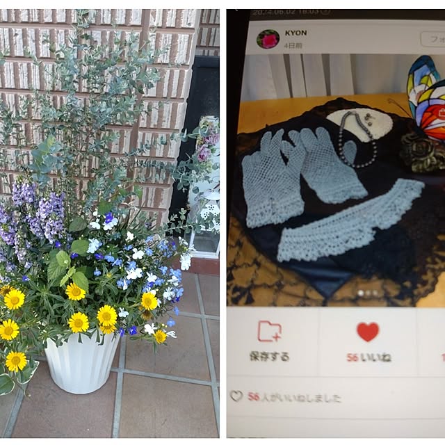 Hujikoさんの実例写真