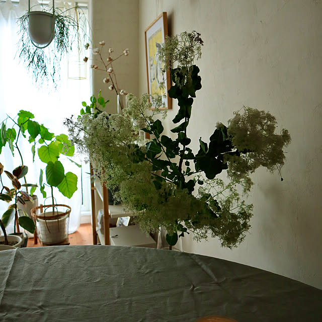 Hisayoさんの部屋