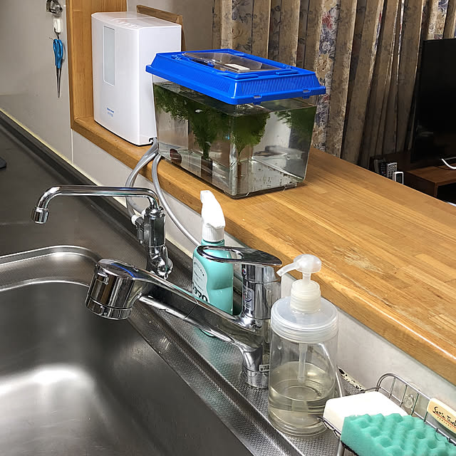 teraさんの実例写真