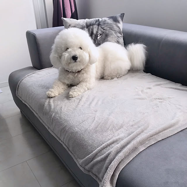ma_house3101さんの実例写真