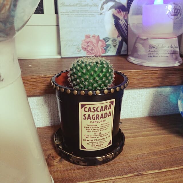 Melさんの実例写真