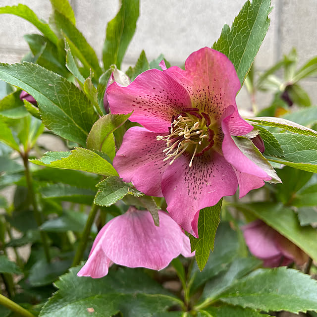 yuminnieさんの部屋