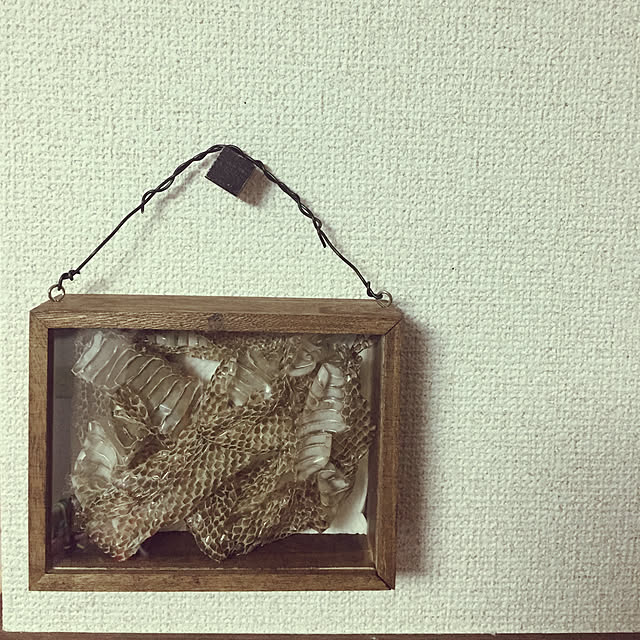 togomamaさんの実例写真