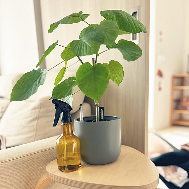 chunさんの実例写真