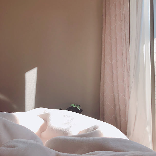 pu_chiruさんの実例写真