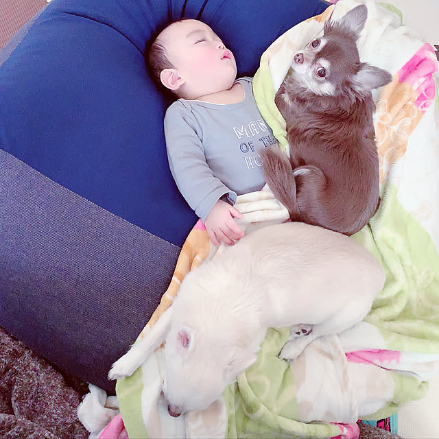 nashikouさんの実例写真