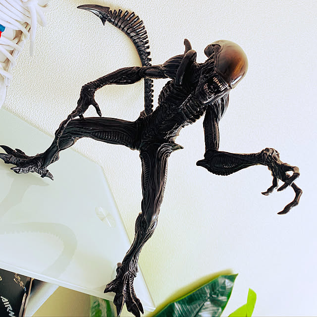 MA-YUNさんの実例写真