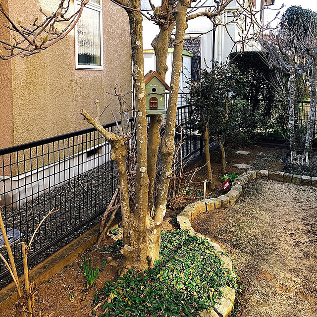 maron915さんの実例写真