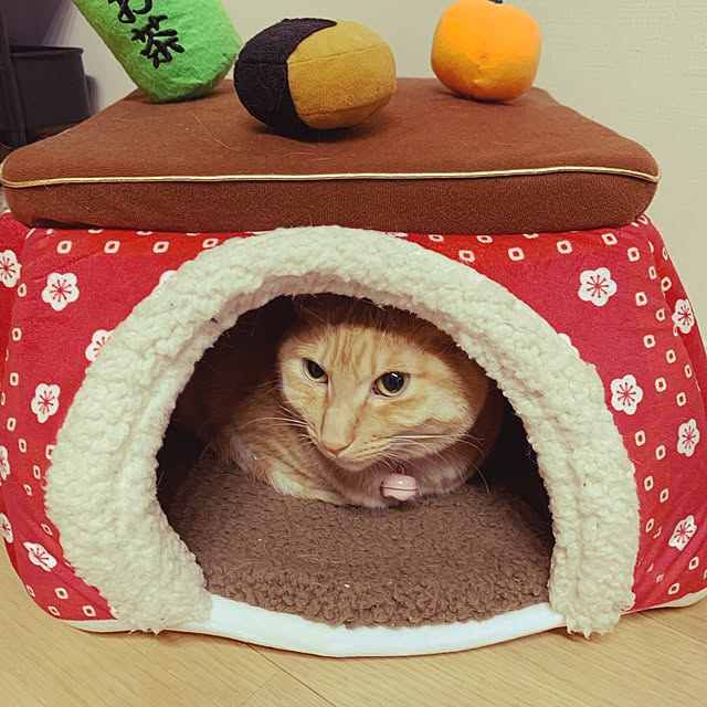 tsmttさんの実例写真